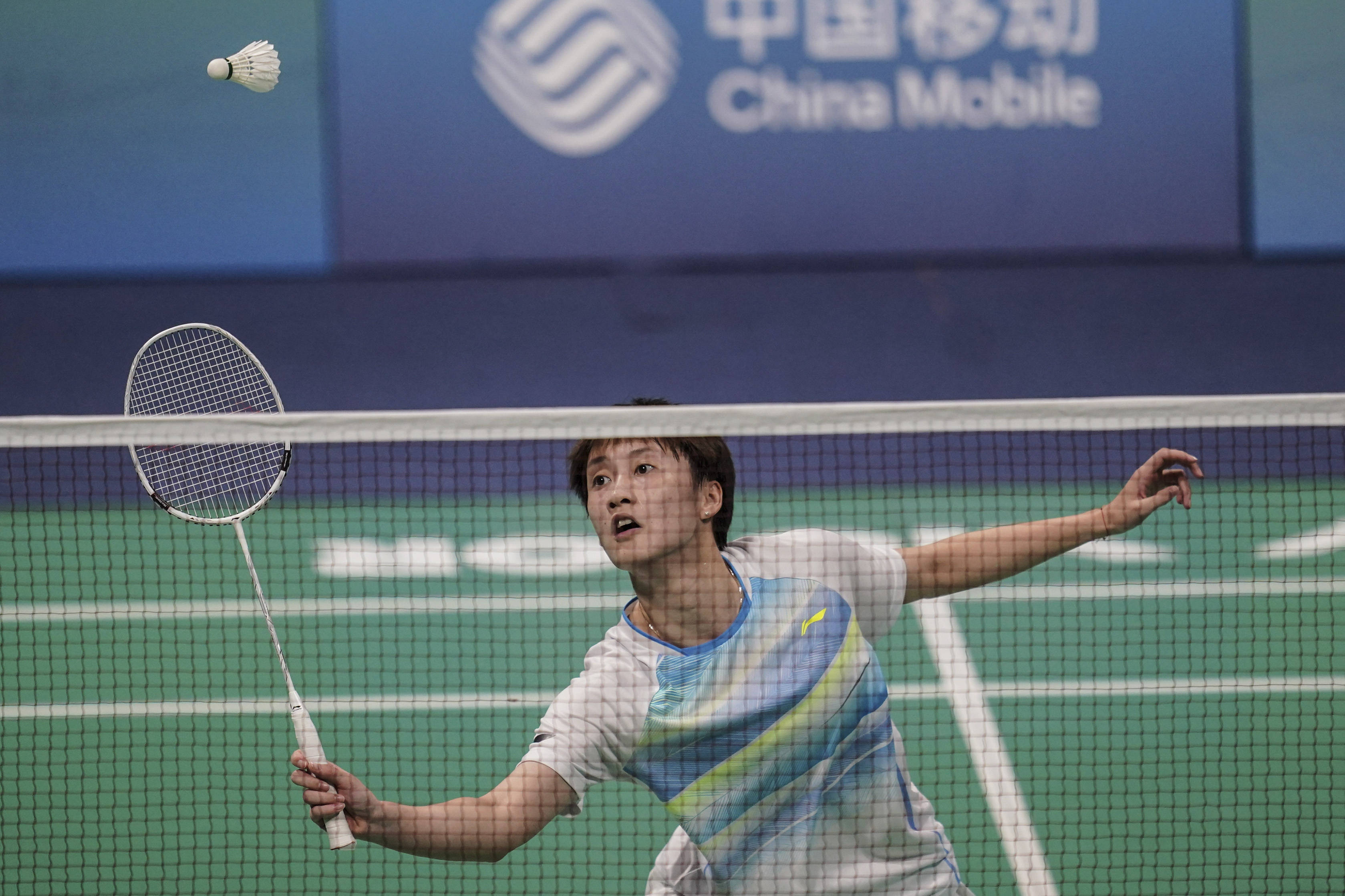 职业生涯的 职业生涯的