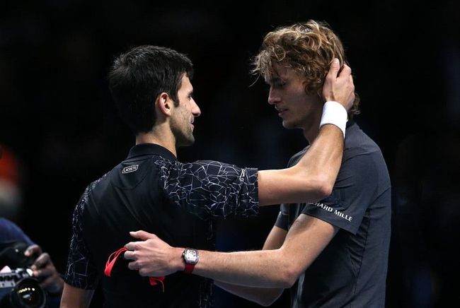 伦多蓝鸟 伦多蓝鸟